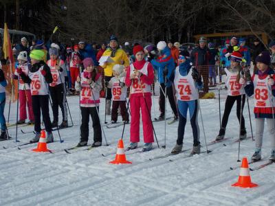На «Лыжню Бирюкова» встало шестьсот любителей лыжного спорта